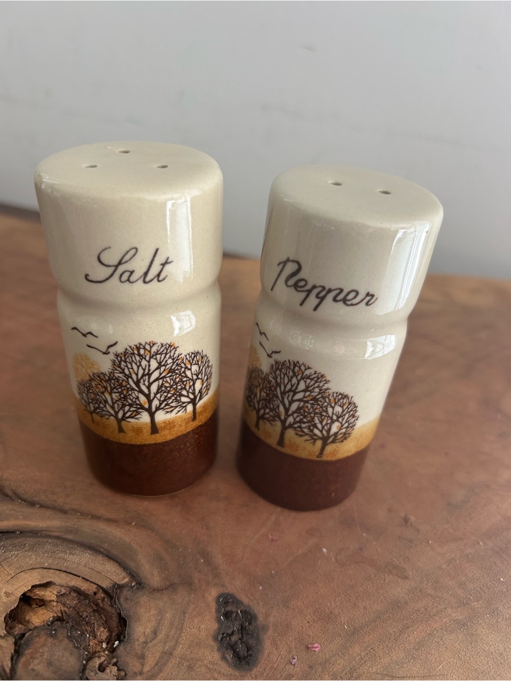 VTG 1970s Stoneware Salt & Pepper Shakers Brown Tree Landscape Rustic Pottery